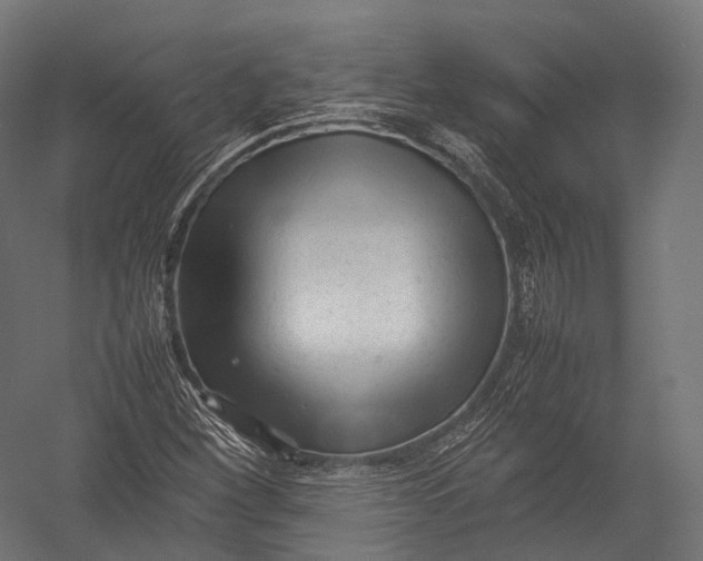 X0000052951260200507300036