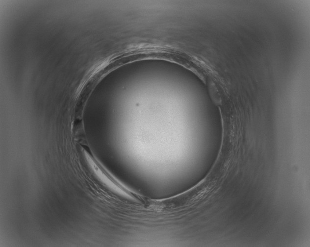 X0000052951261200507300036