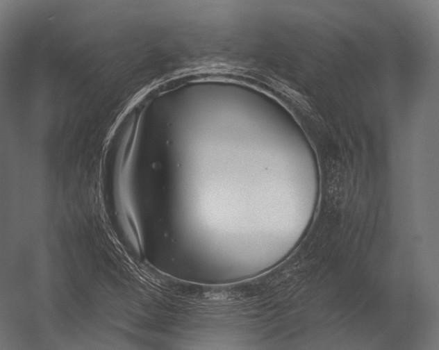 X0000052951264200507300036