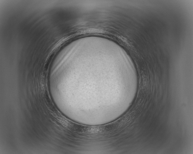 X0000052951266200507300036