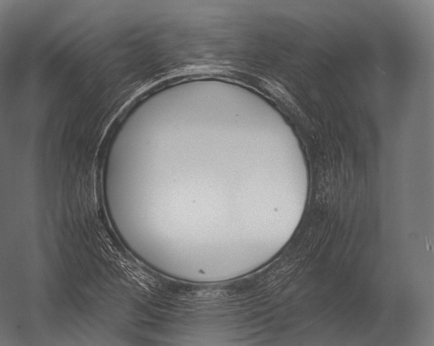 X0000052951268200507300036