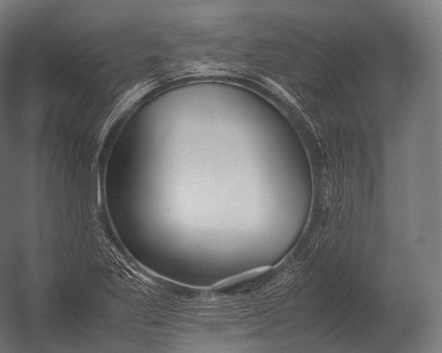 X0000052951269200507300036