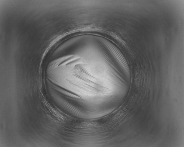 X0000052951270200507300036