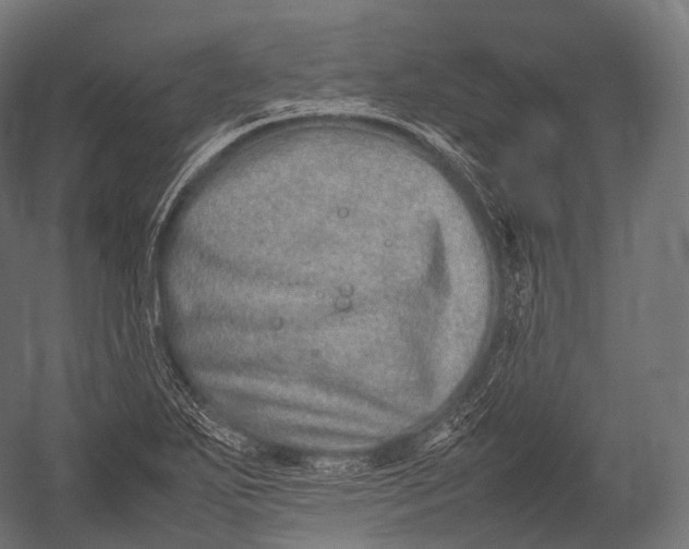 X0000052951271200507300036