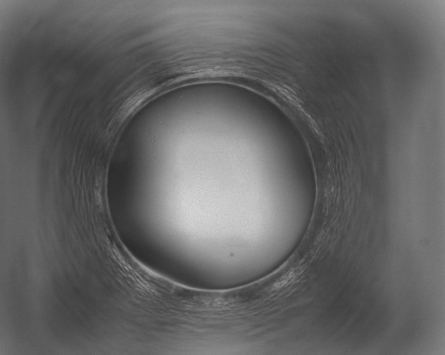 X0000052951273200507300036
