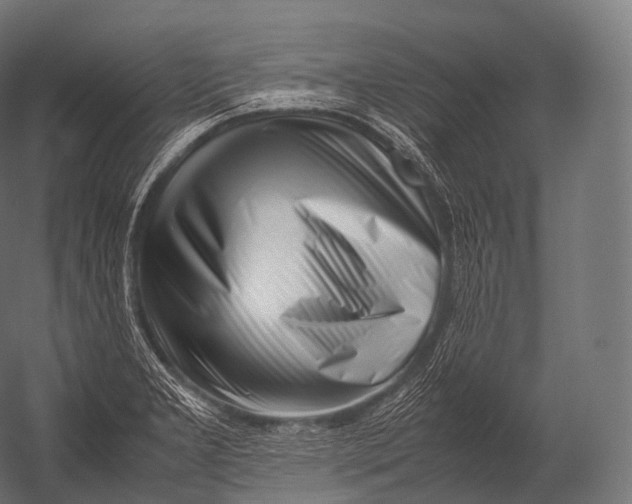 X0000052951277200507300035