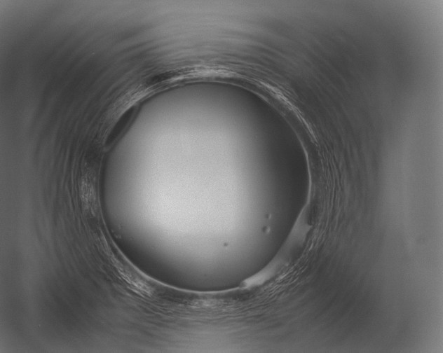 X0000052951281200507300035