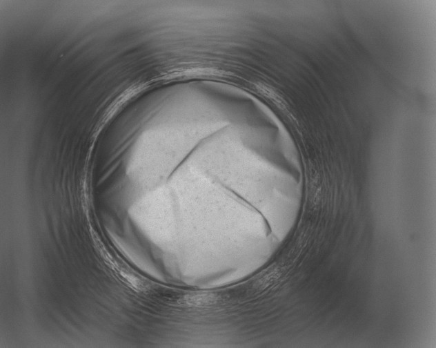 X0000052951282200507300035