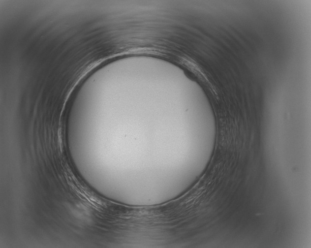 X0000052951284200507300035