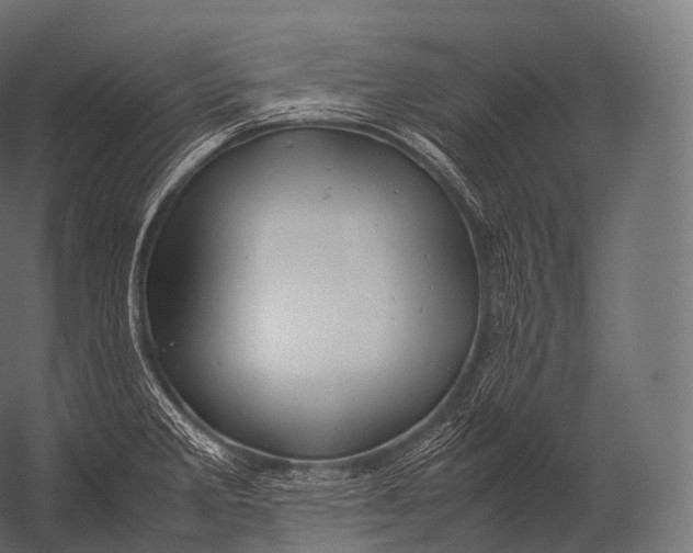 X0000052951285200507300035