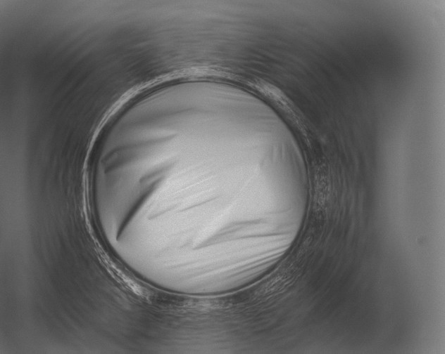 X0000052951286200507300035