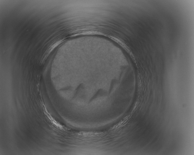 X0000052951289200507300035