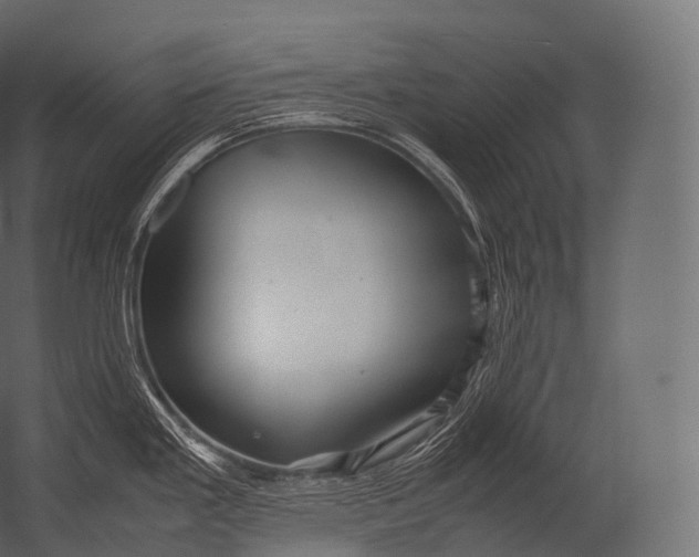 X0000052951293200507300035