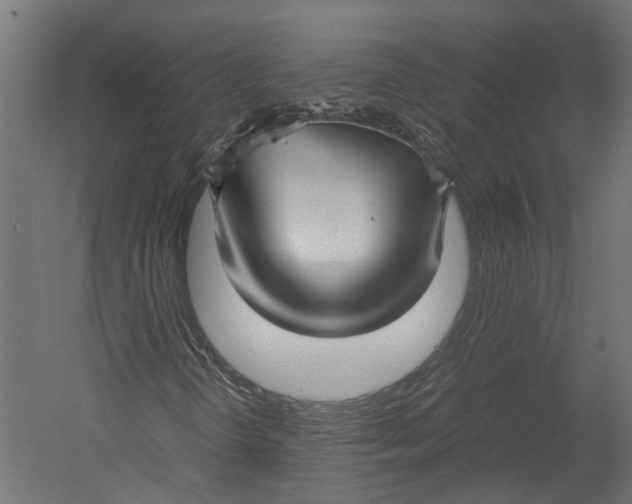 X0000052951298200507300034