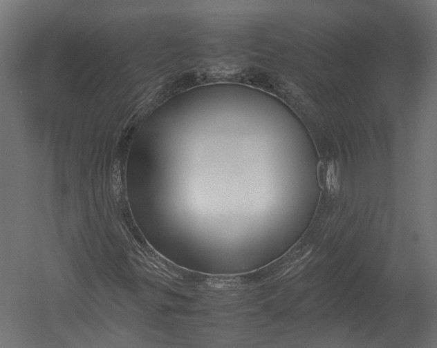 X0000052951299200507300034