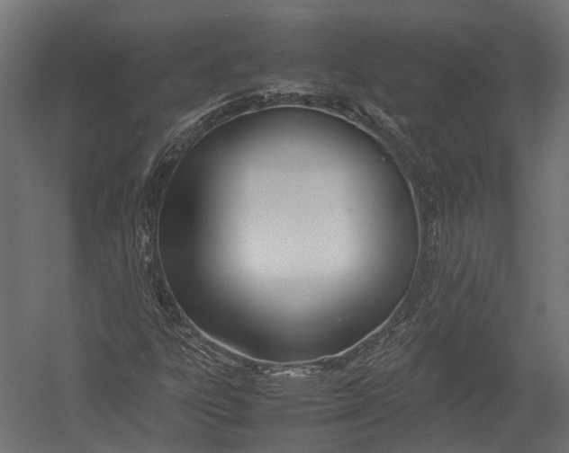 X0000052951303200507300034