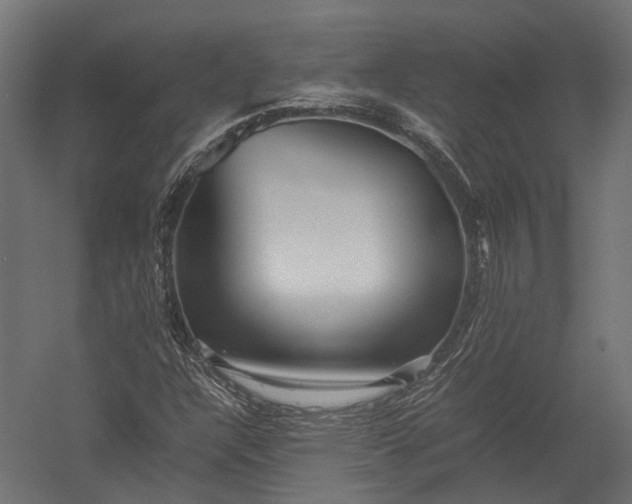 X0000052951304200507300034