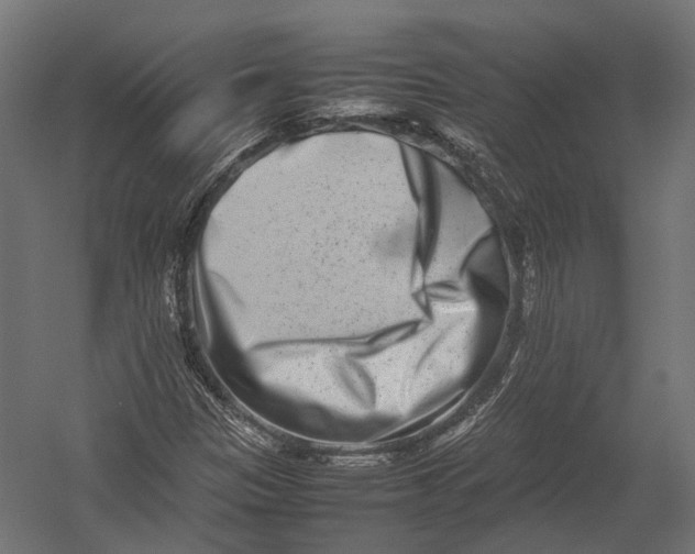 X0000052951305200507300034