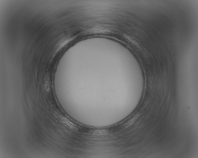 X0000052951306200507300034