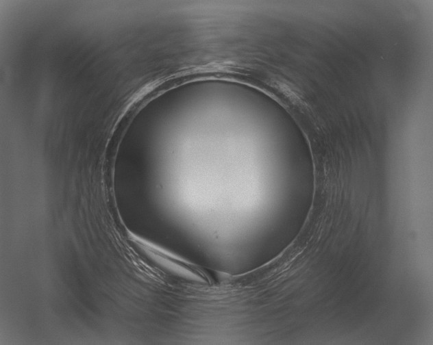X0000052951308200507300035