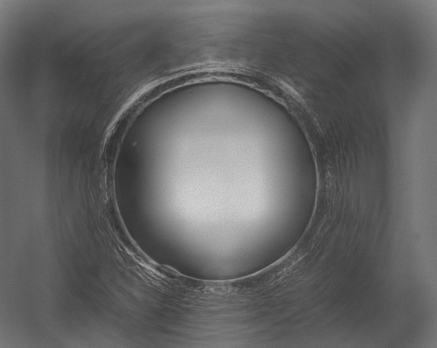 X0000052951310200507300035