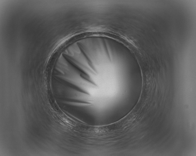X0000052951311200507300035
