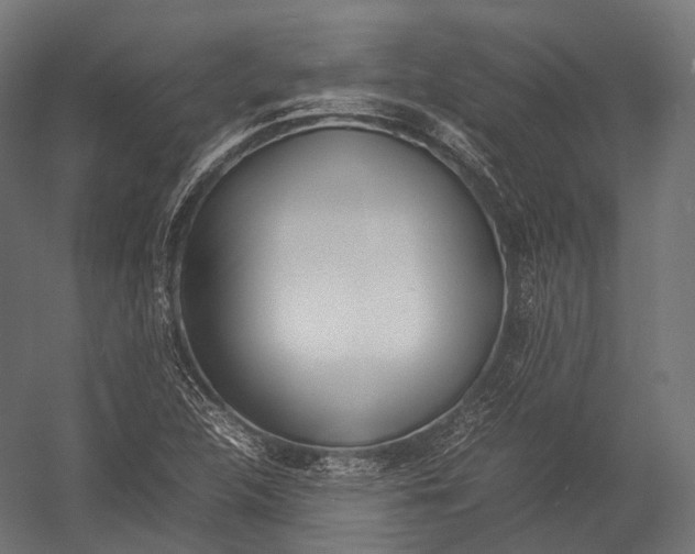 X0000052951312200507300035