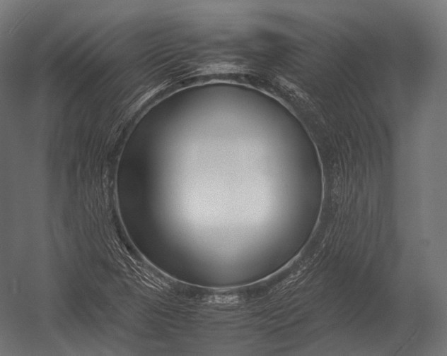 X0000052951313200507300035