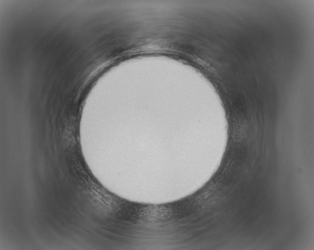 X0000052951314200507300035