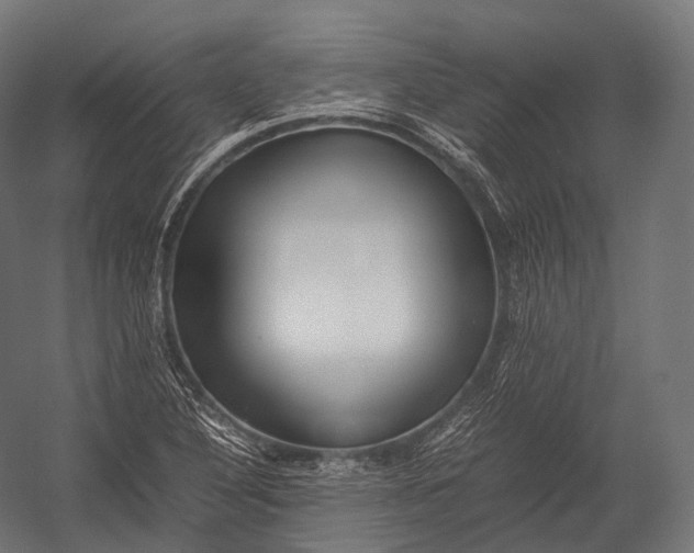 X0000052951316200507300035
