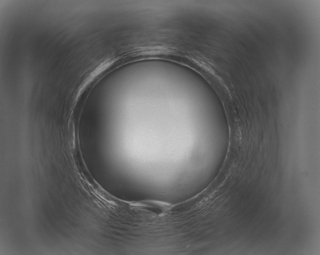 X0000052951317200507300035