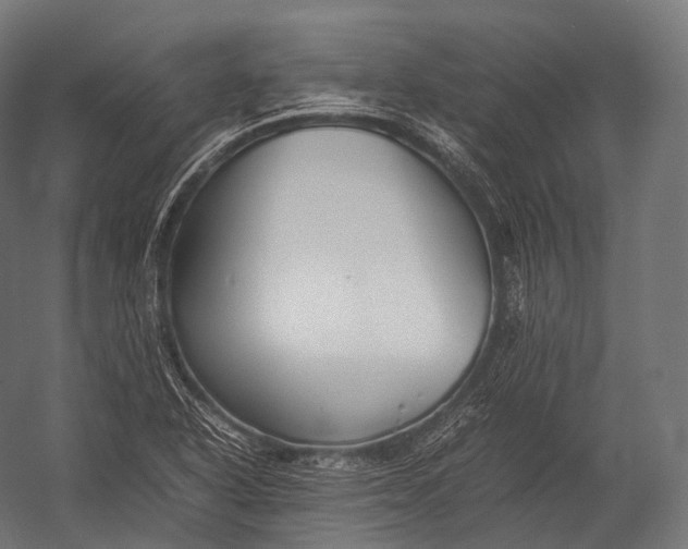 X0000052951318200507300035