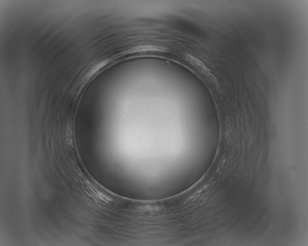 X0000052951321200507300035