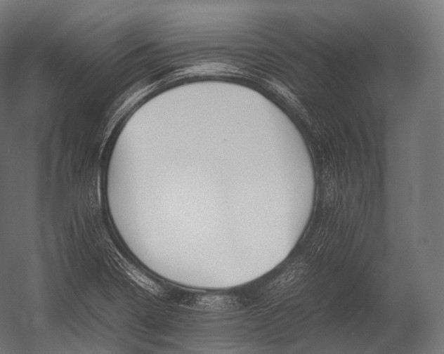 X0000052951322200507300035
