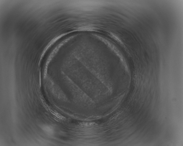 X0000052951323200507300035