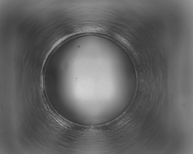 X0000052951324200507300035