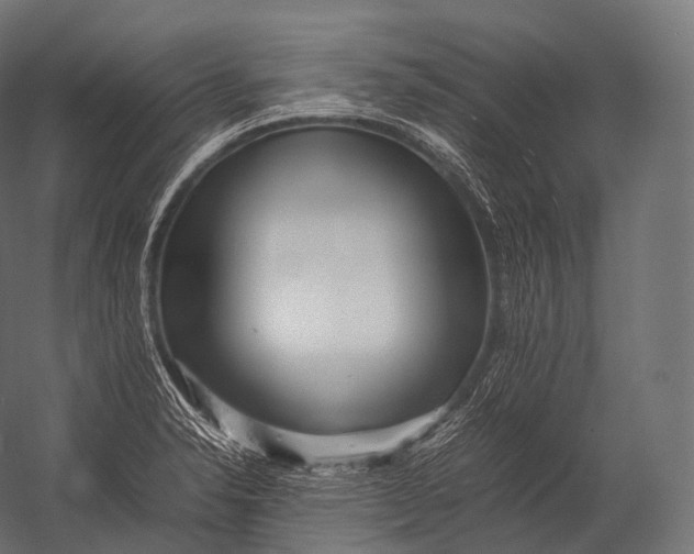 X0000052951326200507300035