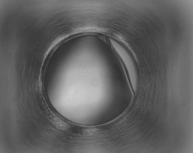 X0000052951328200507300035
