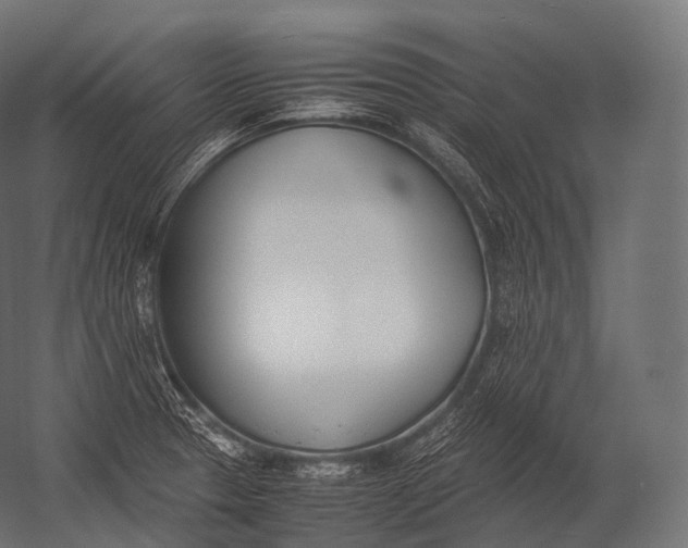 X0000052951329200507300035