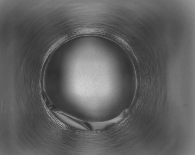 X0000052951330200507300035