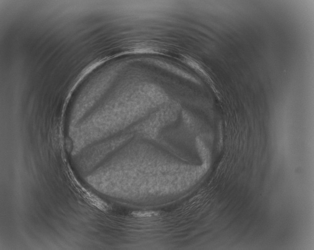 X0000052951331200507300035