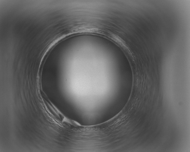 X0000052951332200507300035