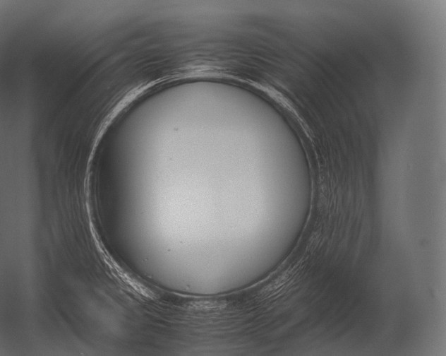 X0000052951333200507300035