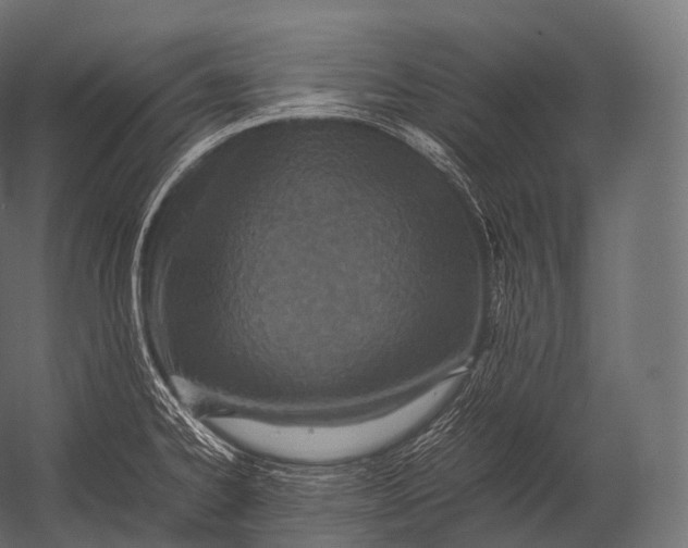X0000052951334200507300035