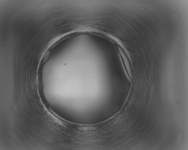 X0000052951335200507300035