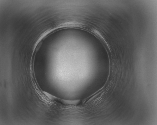 X0000052951336200507300035