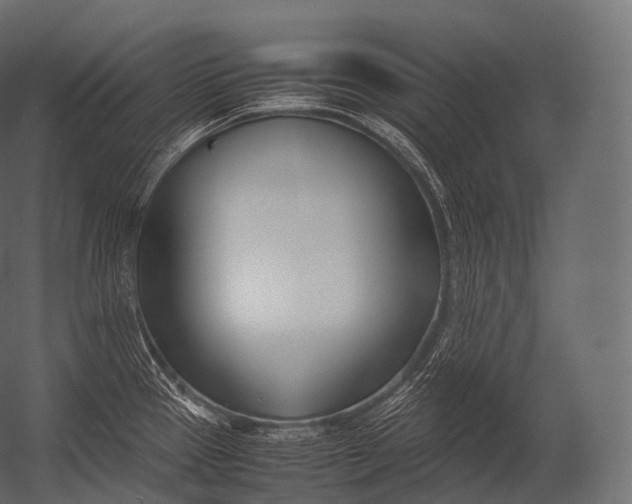 X0000052951337200507300035