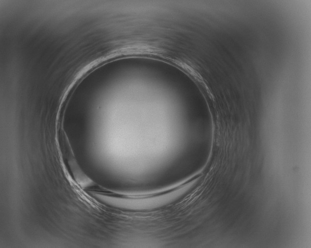X0000052951342200507300035