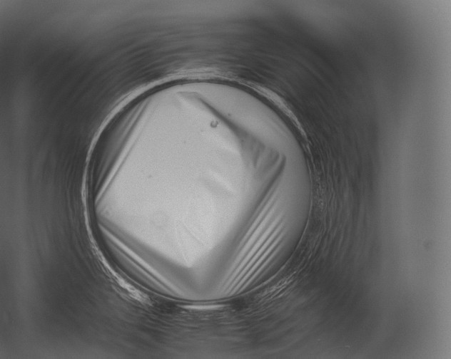 X0000052951343200507300035