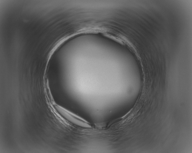 X0000052951344200507300035